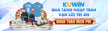 Cơ hội kiếm lời cùng df999